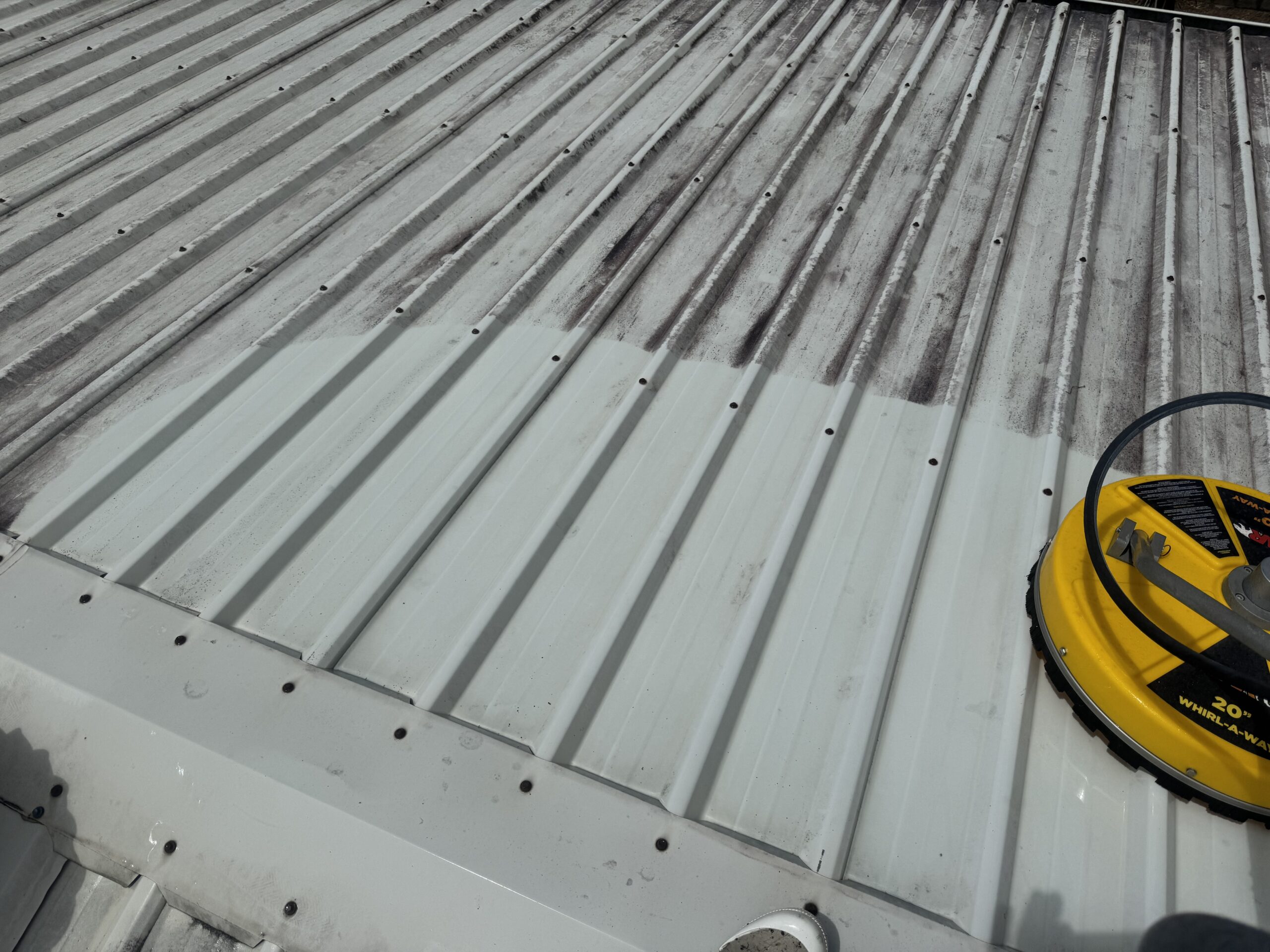 Roof Cleaning Glenella Colorbond roof before and after cleaning