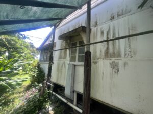 Before house wash Walkerston mould covered wall