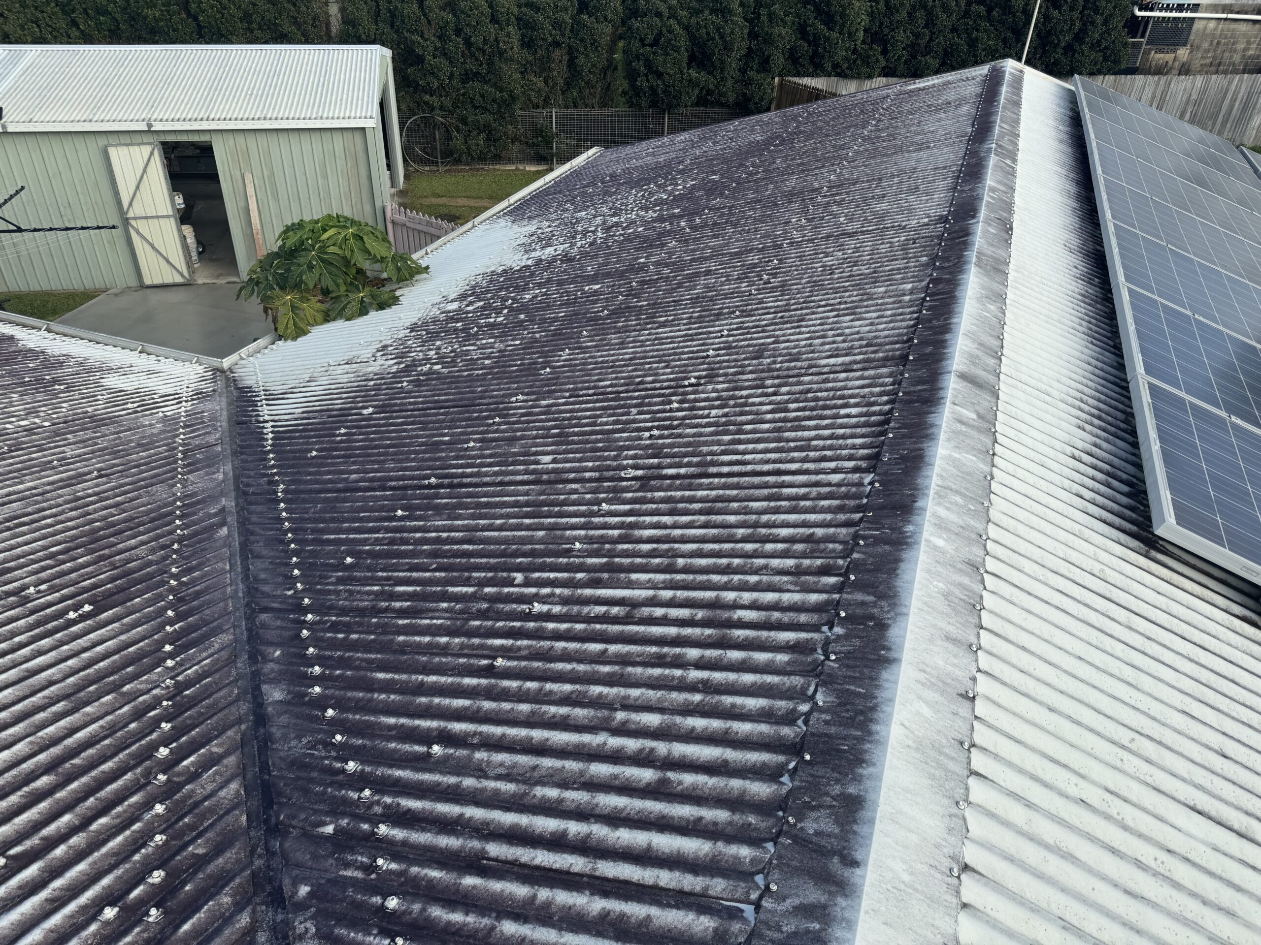 Roof cleaning Ooralea before photo showing heavy mould on Colorbond roof