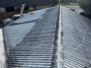Black algae and mould growth covering a residential Colorbond roof