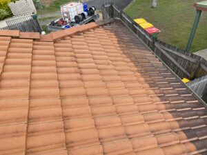 Half clean roof