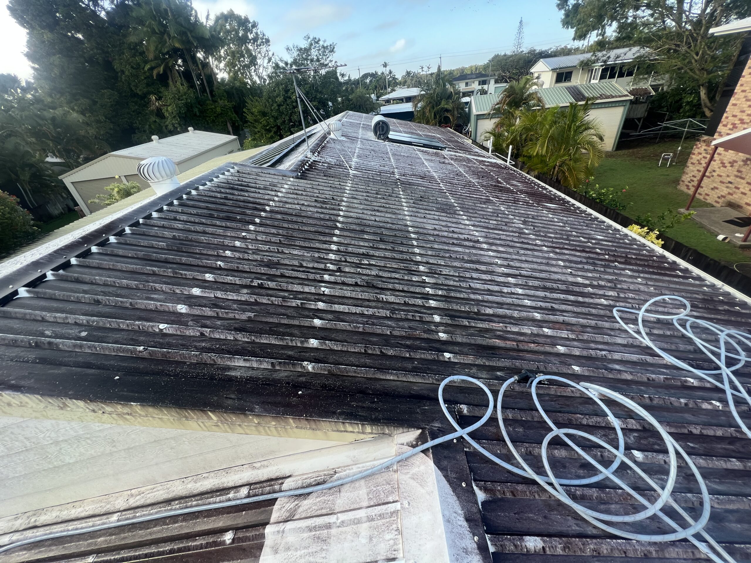 algae on roof