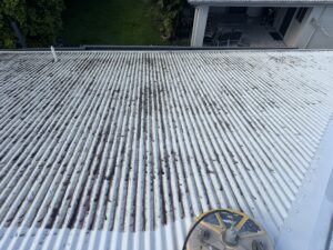 Heavy roof staining and mould growth on a Colourbond roof in Andergrove