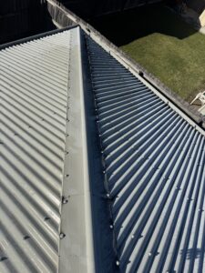 Dirty house roof