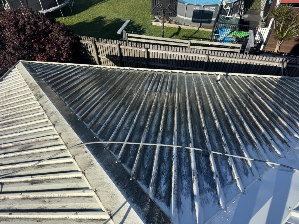 Colourbond roof with mould and algae before roof cleaning in Andergrove