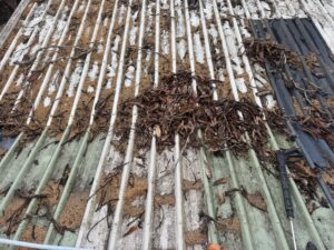 Dirty Roof