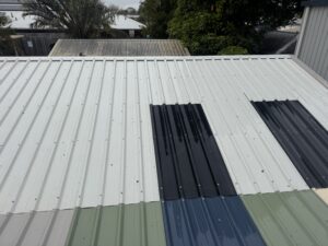 Clean shed roof