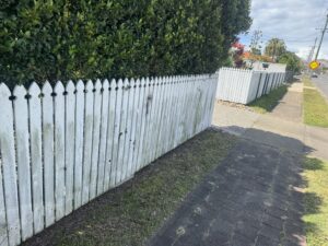 Before we started the clean on the fence in west mackay