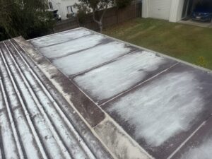 Heavy mould build up on the roof