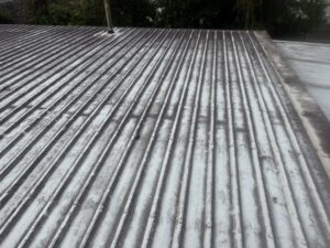 Before the roof clean
