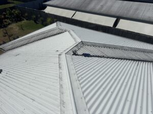 Mould and algae build-up across a light-coloured roof in Bakers Creek, Mackay
