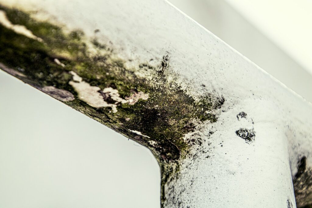 Mould