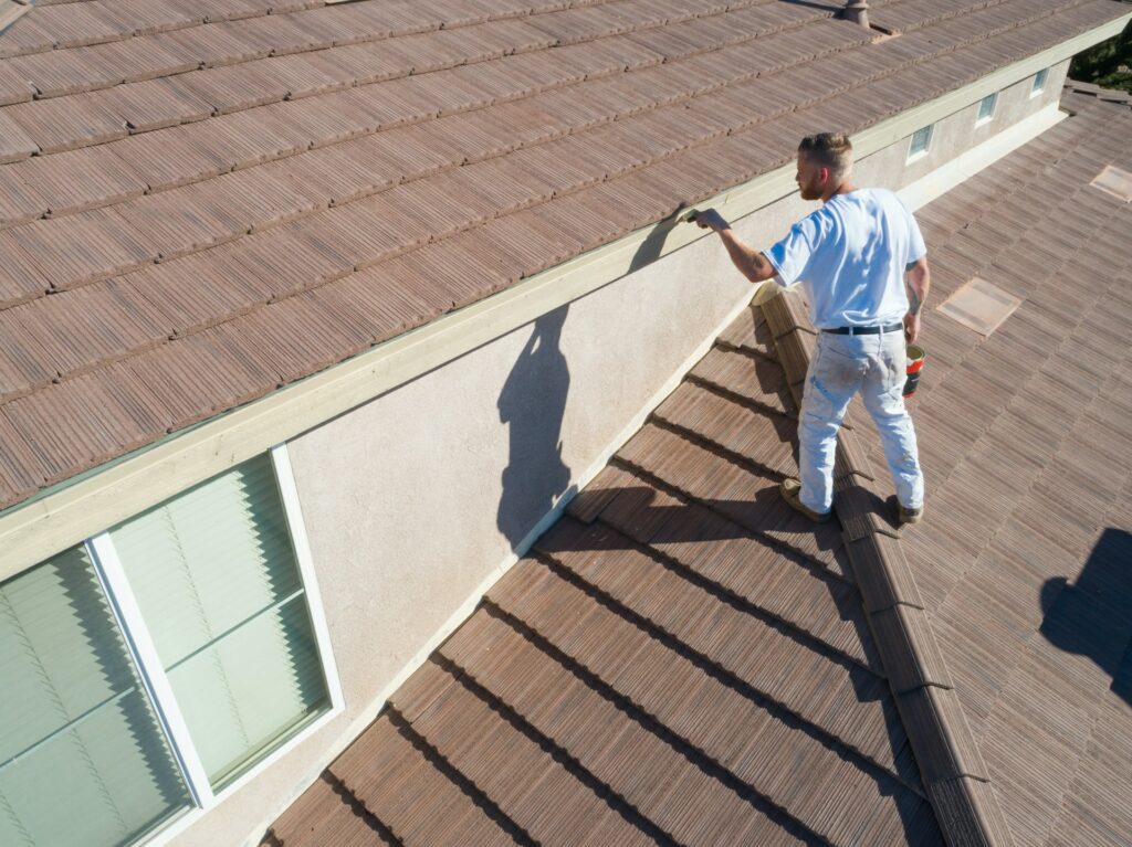 Roof Cleaning