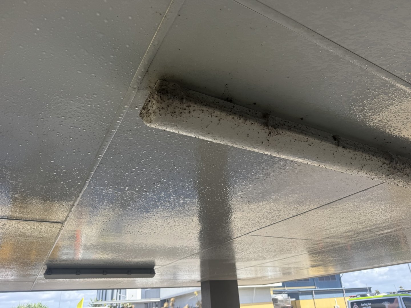 Dark build-up around a sheltered ceiling light at CQ Rescue in Mackay